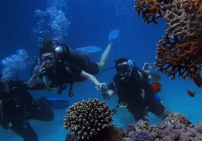 Diving Trip